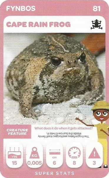 Cape Rain Frog card #81 - Pick n Pay South African Super Animals