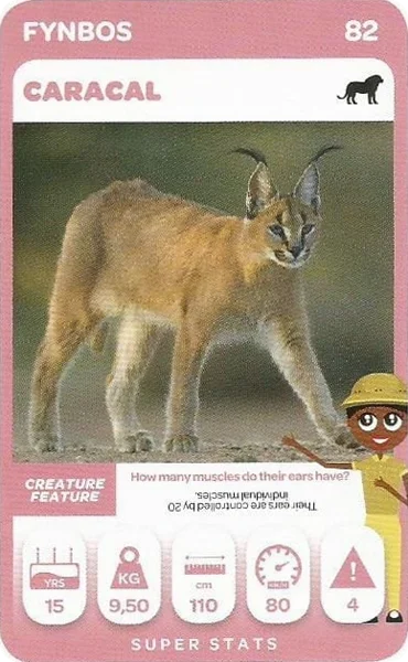 Caracal card #82 - Pick n Pay South African Super Animals