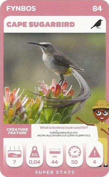 Cape Sugarbird card #84 - Pick n Pay South African Super Animals