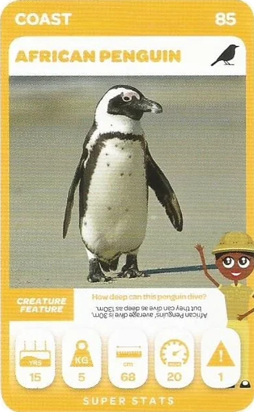 African Penguin card #85 - Pick n Pay South African Super Animals