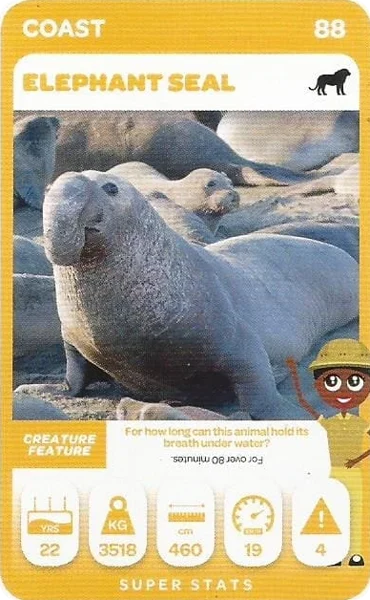 Elephant Seal card #88 - Pick n Pay South African Super Animals