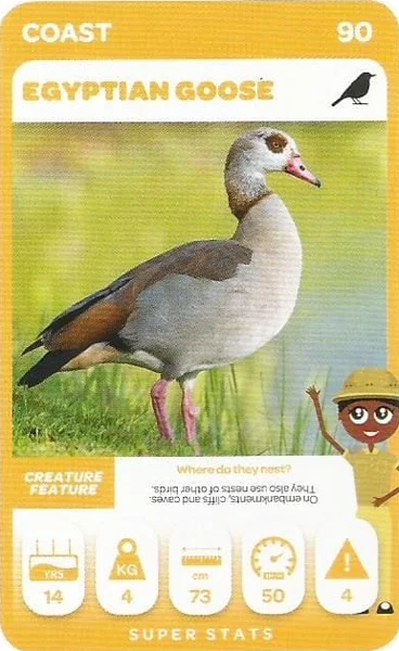 Egyptian Goose card #90 - Pick n Pay South African Super Animals