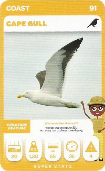 Cape Gull card #91 - Pick n Pay South African Super Animals