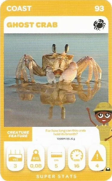 Ghost Crab card #93 - Pick n Pay South African Super Animals