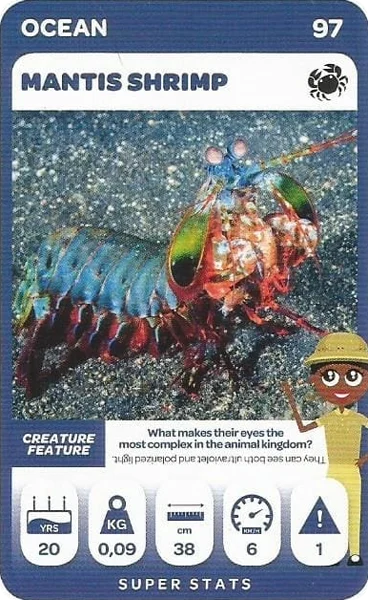 Mantis Shrimp card #97 - Pick n Pay South African Super Animals