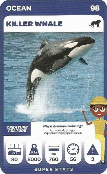Killer Whale card #98 - Pick n Pay South African Super Animals