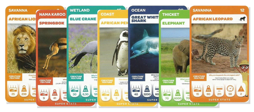 Pick n Pay South African Super Animals